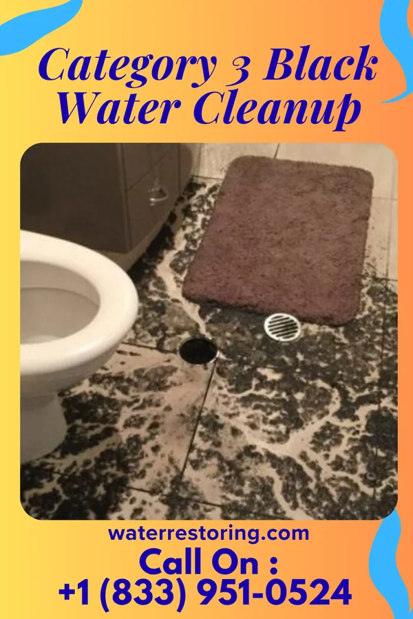 Category 3 Black Water Cleanup in Reinerton, PA