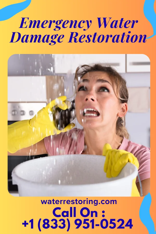 Emergency Water Damage Restoration in Reinerton, PA