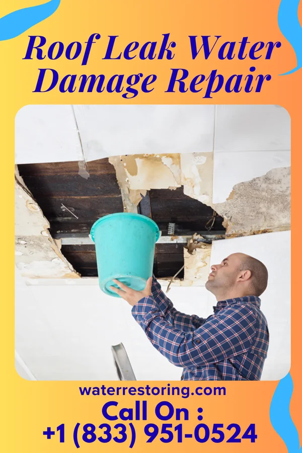 Roof Leak Water Damage Repair in Reinerton, PA