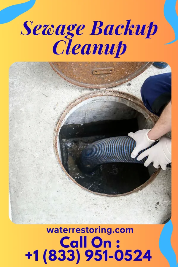 Sewage Backup Cleanup in Reinerton, PA