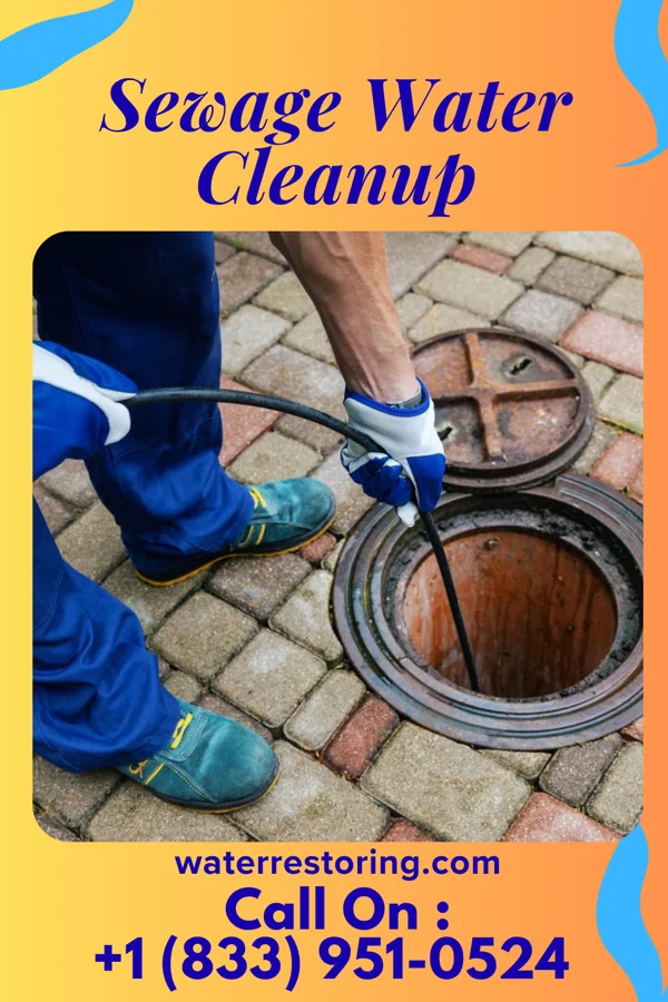 Sewage Water Cleanup in Reinerton, PA