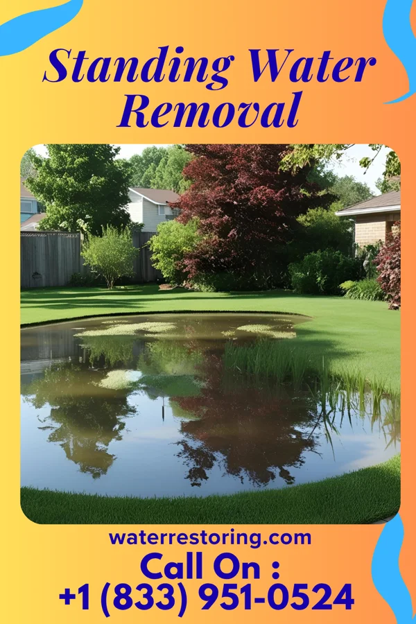 Standing Water Removal in Reinerton, PA